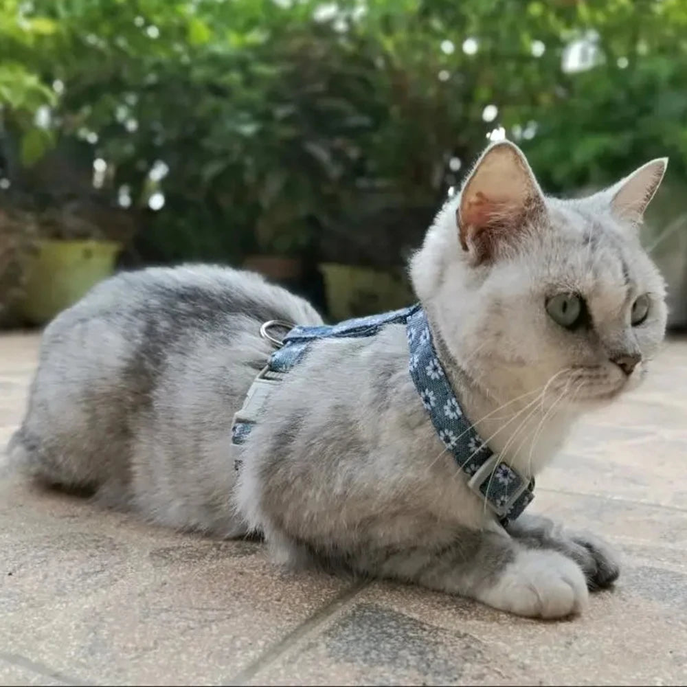 Floral Print Harness & Leash Set for Cats & Small Dogs