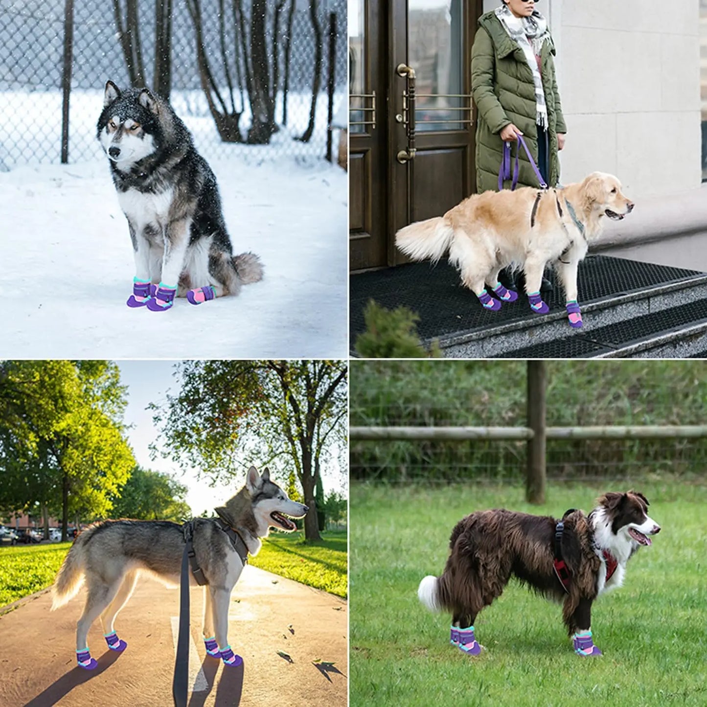 Anti-Slip Dog Boots & Paw Protectors | Set of 4