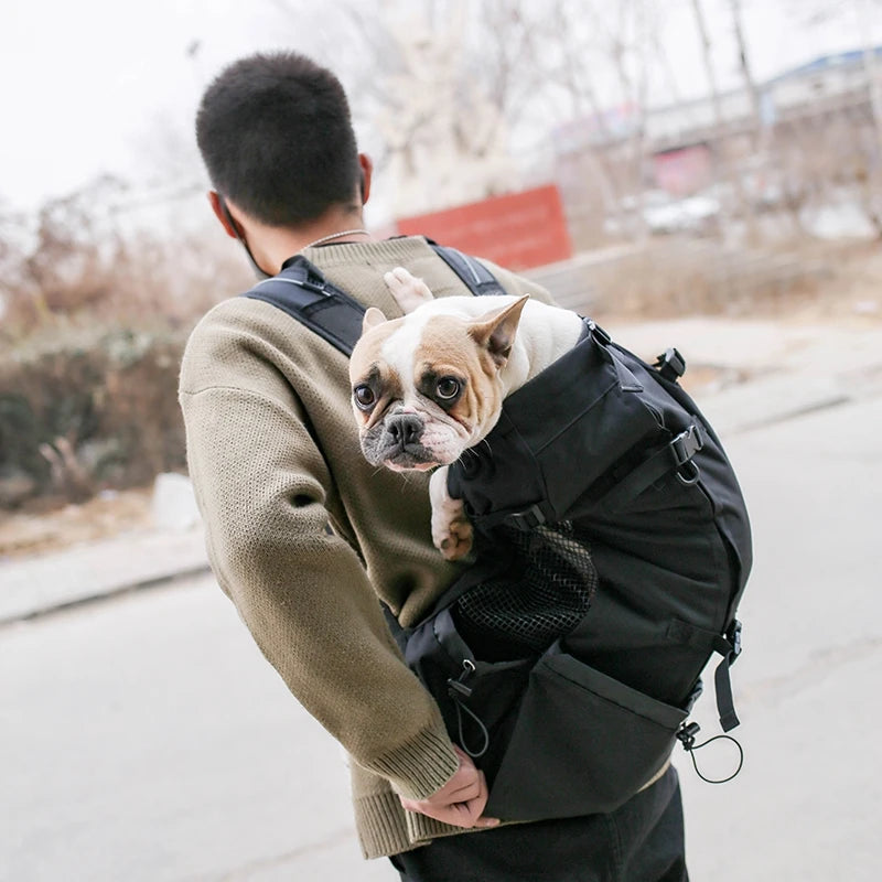 Breathable Dog Backpack Carrier for Small Dogs