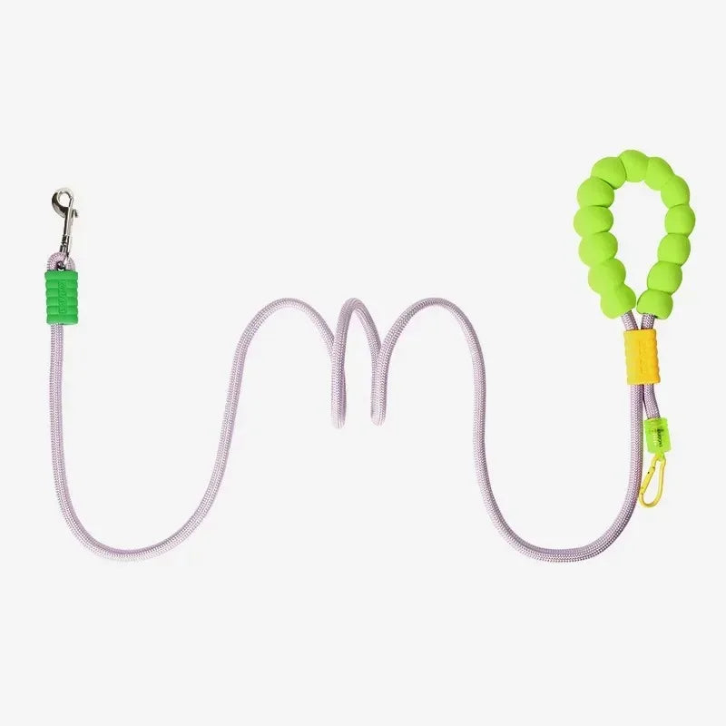 Ensemble laisse et collier premium pour chiens - Chiens de petite à moyenne taille