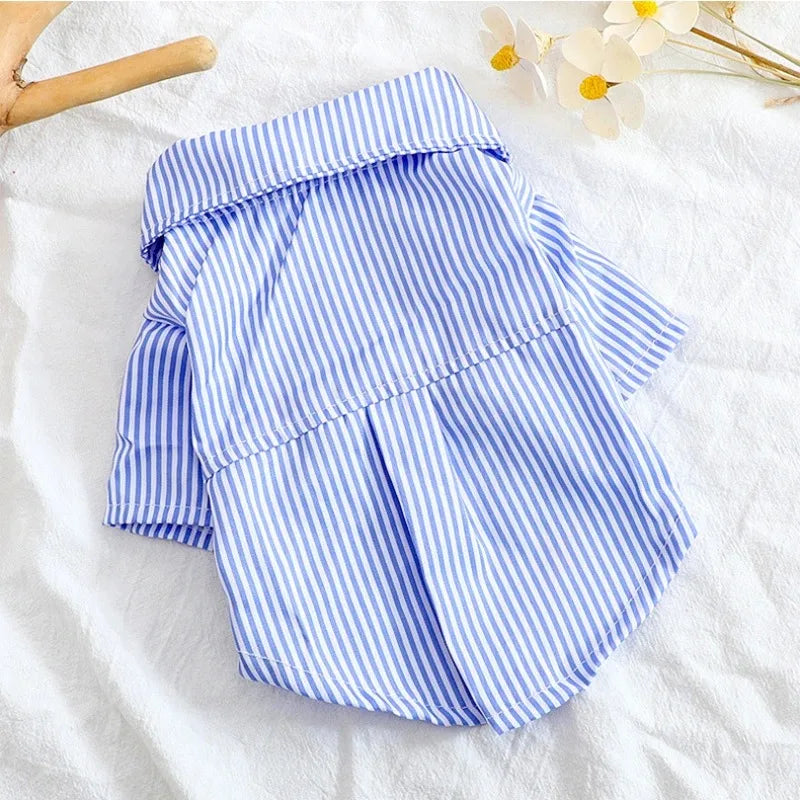 Vêtements d'été pour chiots - Chemise et chemisier pour chien, vêtements de printemps pour animaux de compagnie