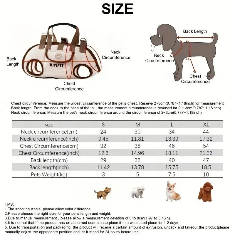 Sac de transport pour animaux de compagnie avec design de sac à dos