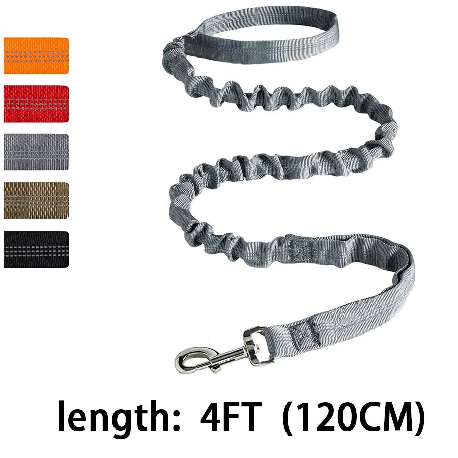 Laisse de dressage élastique antichoc pour chien