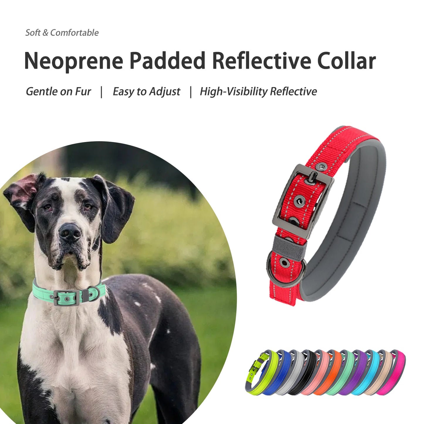 Neoprene Padded Reflective Dog Collar with Metal Buckle