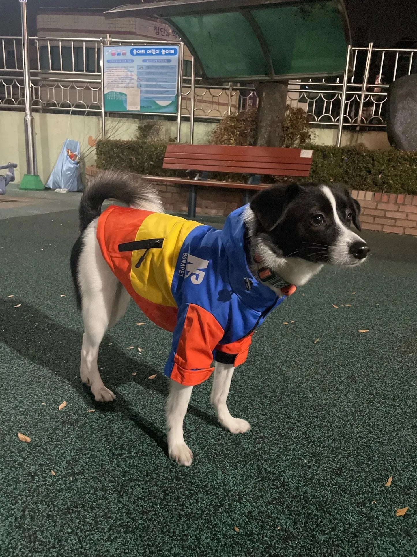 Waterproof Hooded Dog Raincoat & Sport Hoodie