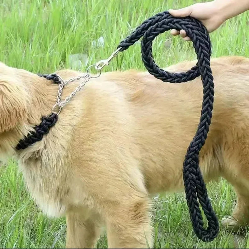 Ensemble laisse et collier pour chien avec gilet harnais