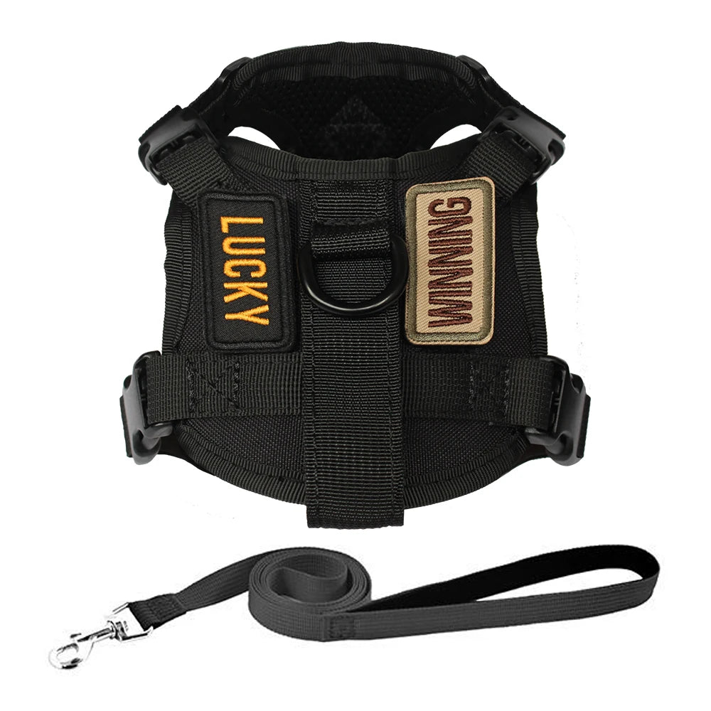 Escape-Proof Cat & Small Dog Harness Set