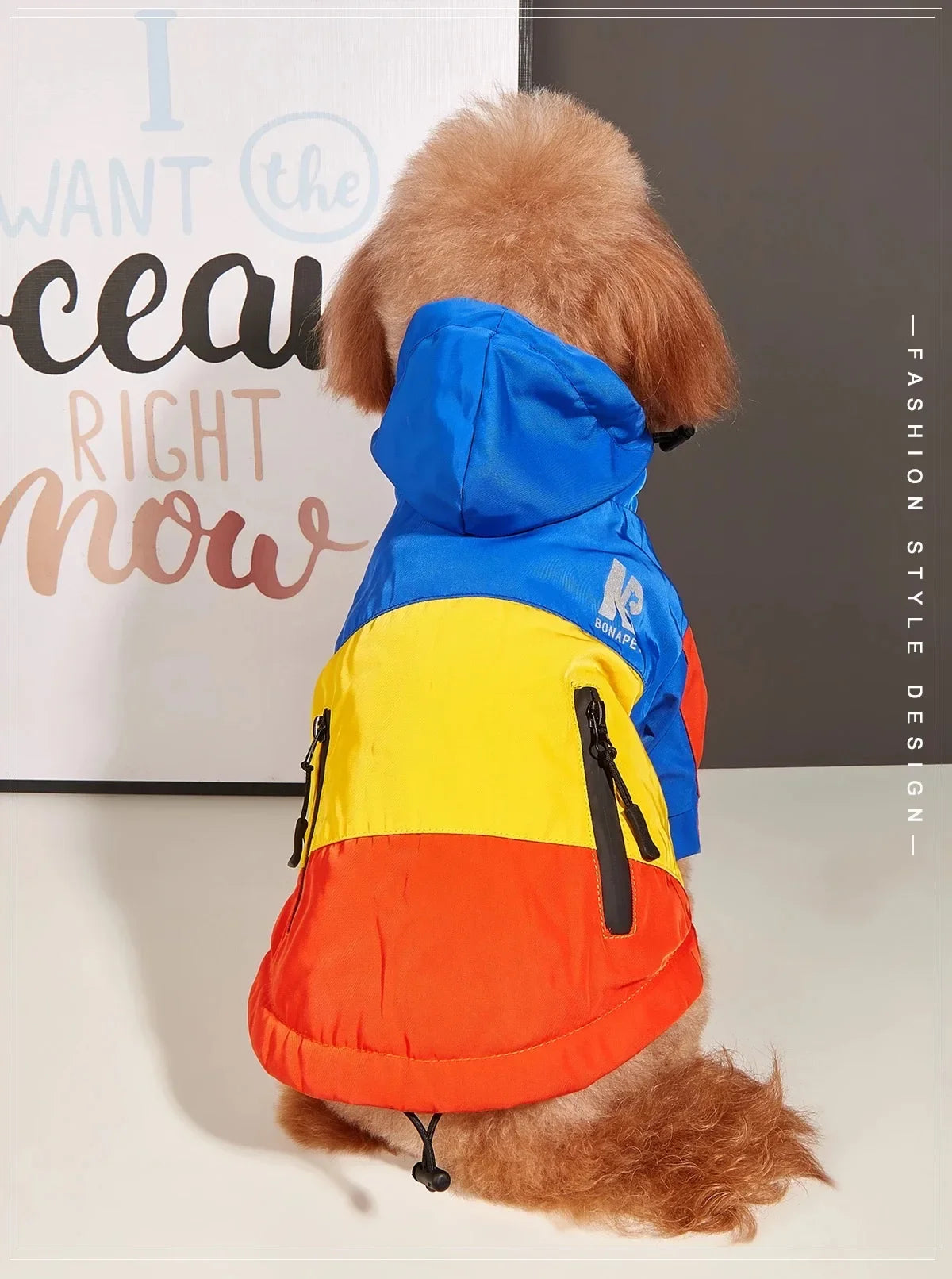 Waterproof Hooded Dog Raincoat & Sport Hoodie
