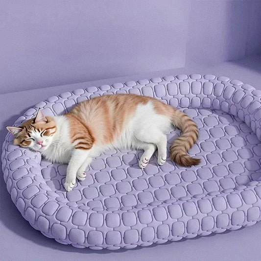 Cosy Pet House Bed for Kittens and Puppies - Soft Basket Mat