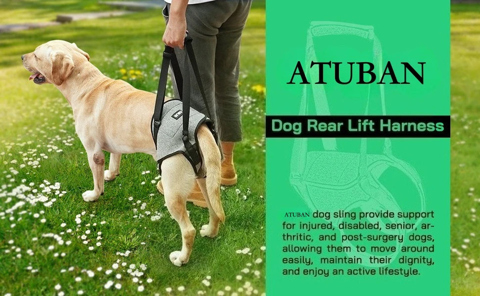 Rear Support Dog Lift Harness for Elderly, Injured & Arthritic Dogs