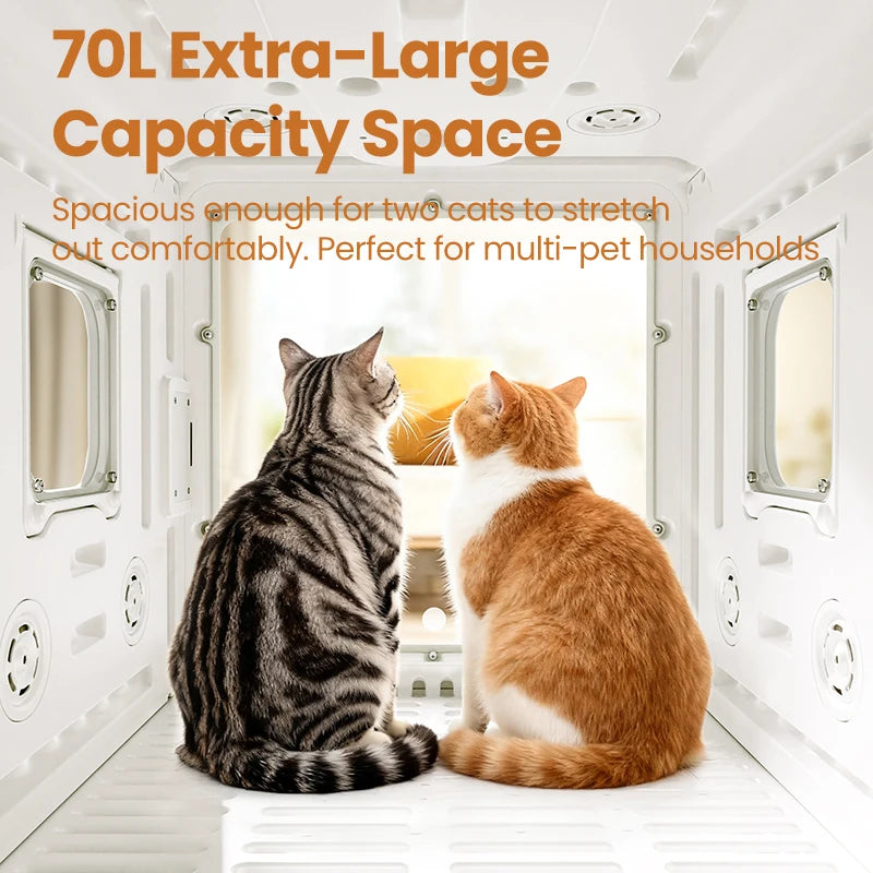 Boîte de séchage intelligente pour animaux de compagnie de 70 L avec séchage à 360° et contrôle automatique de la température