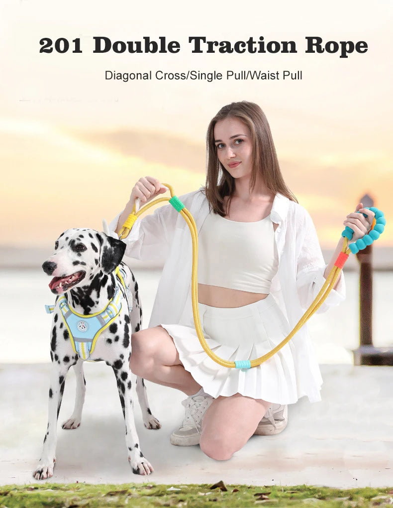Anti-Slip Nylon Dog Lead — Lightweight & Wear-Resistant
