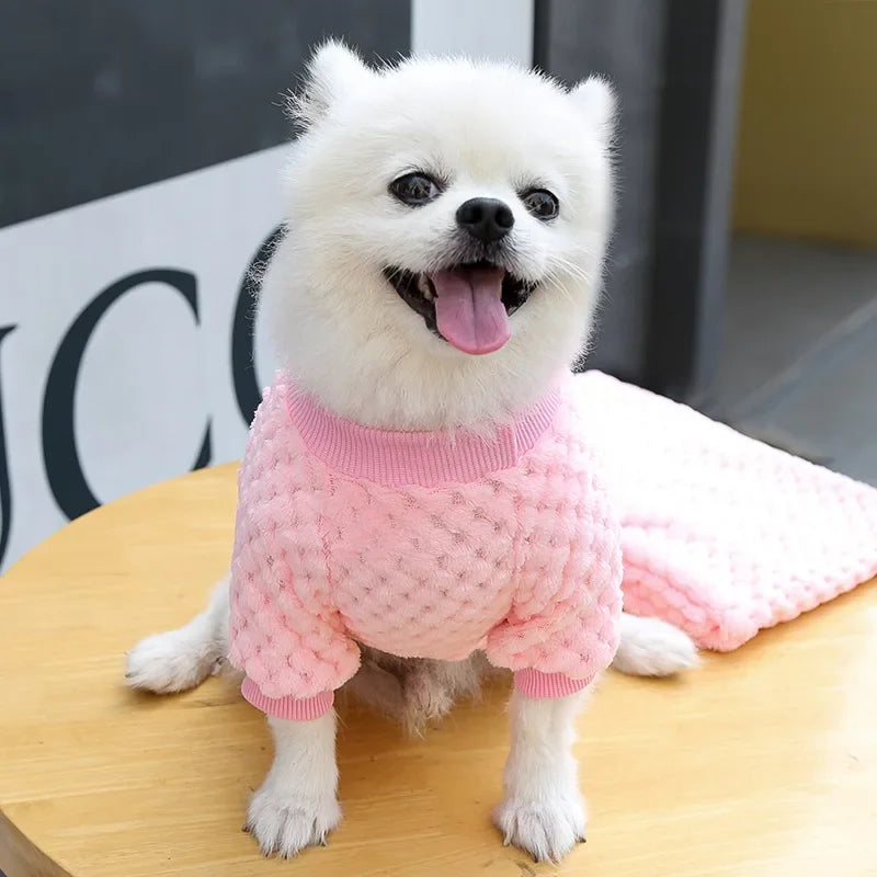 Manteau pull chaud pour chiot | Pull d'automne-hiver pour chiens et chats de petite taille