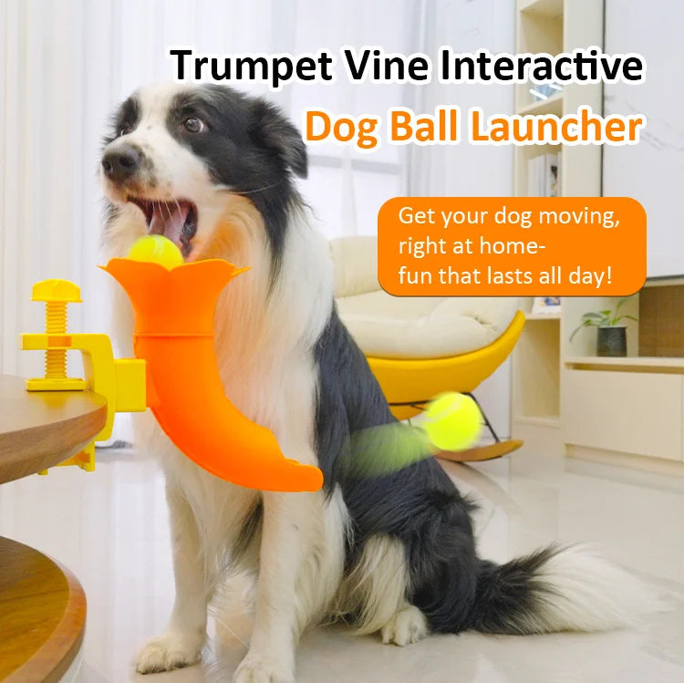 Table-Clip Dog Ball Return Toy
