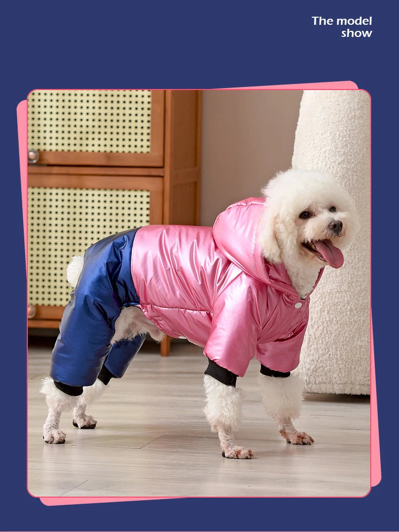 Waterproof Winter Down Hoodie Jacket for Small Dogs