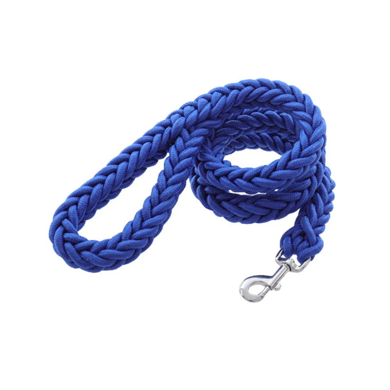 Heavy-Duty Nylon Dog Lead