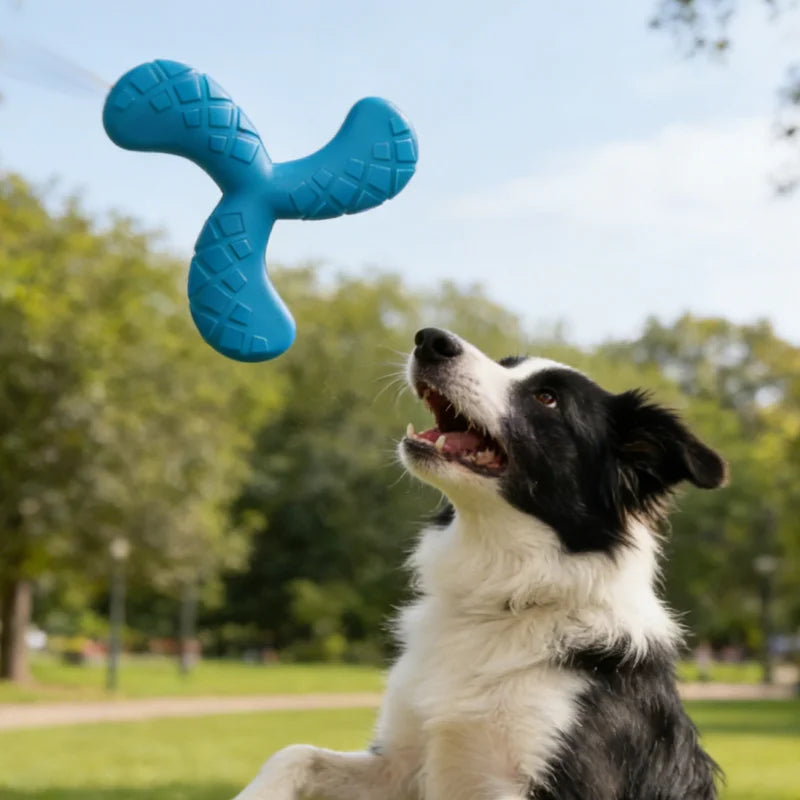 Indestructible EVA Boomerang Flying Disc & Chew Toy for Large Dogs