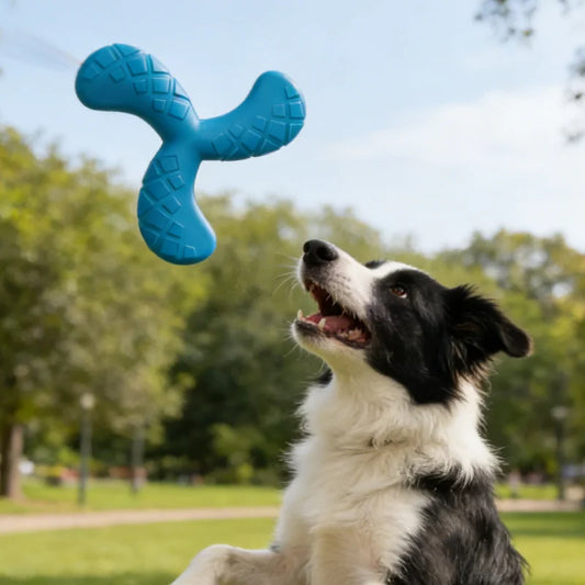 Indestructible EVA Boomerang Flying Disc & Chew Toy for Large Dogs
