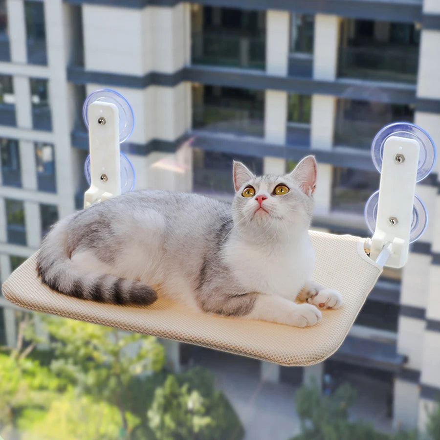 Assembly-Free Cat Window Hammock – Plush or Mesh Perch with Suction Cups