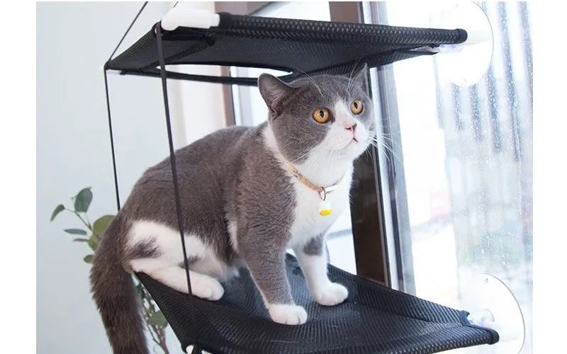 Double-Decker Window Cat Hammock – Suction Cup Bunk Bed for Cats