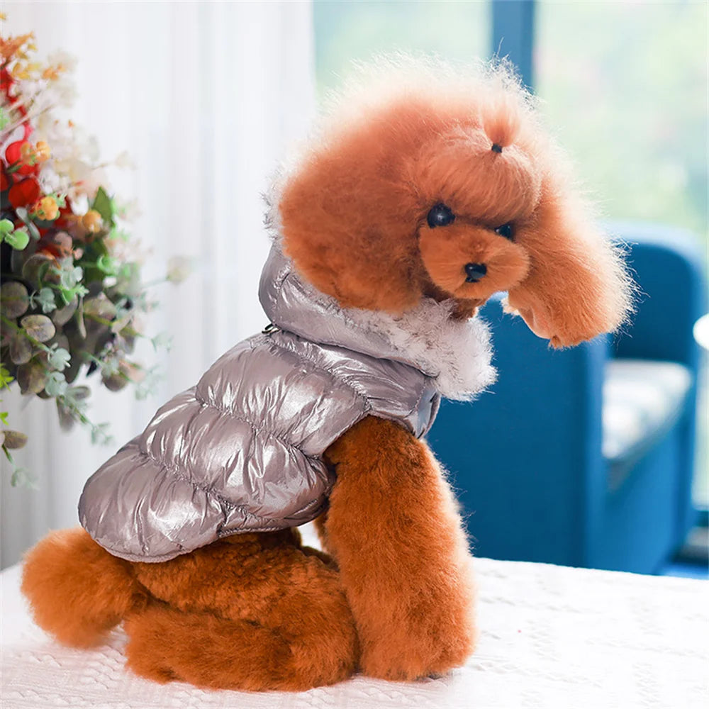 Winter Down & Fleece Dog Coat with Fur Collar for Small Dogs