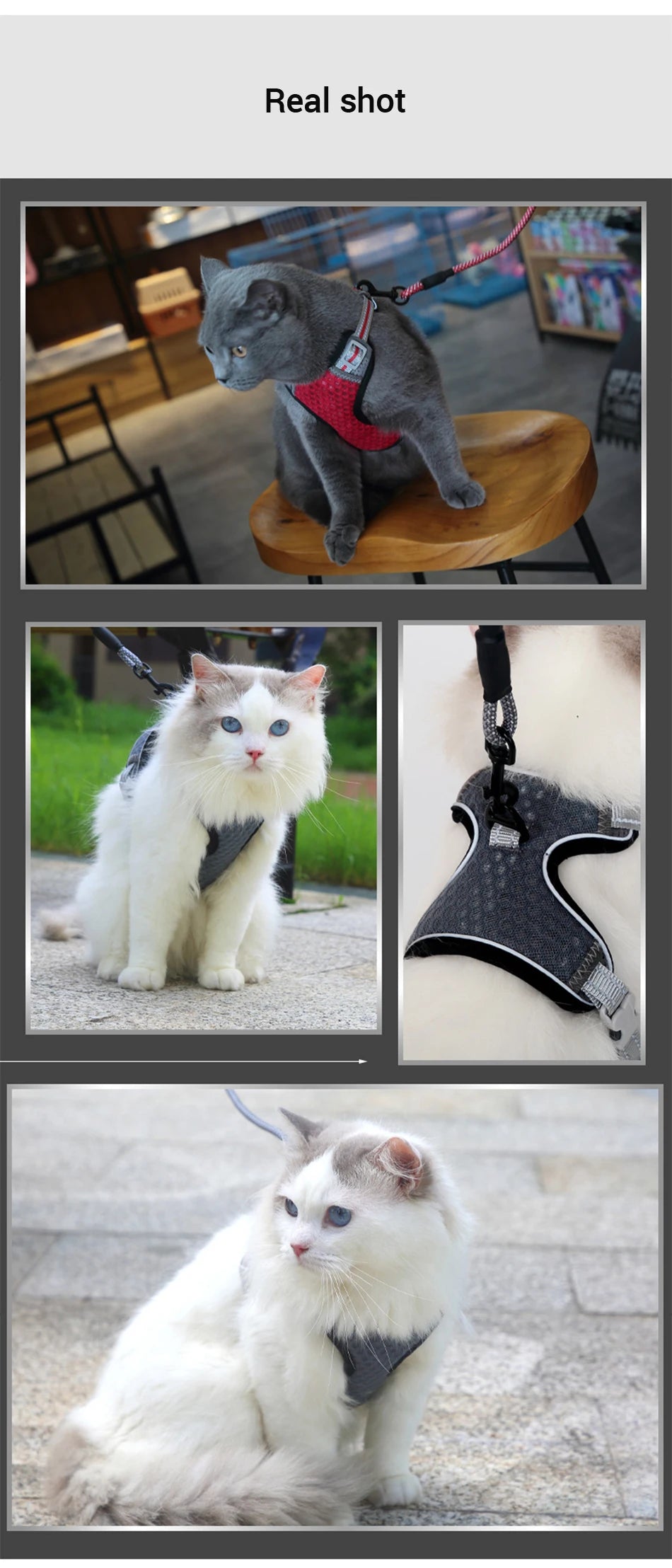 Reflective Cat Harness and Leash Set - Escape Proof, Adjustable Walking Harness
