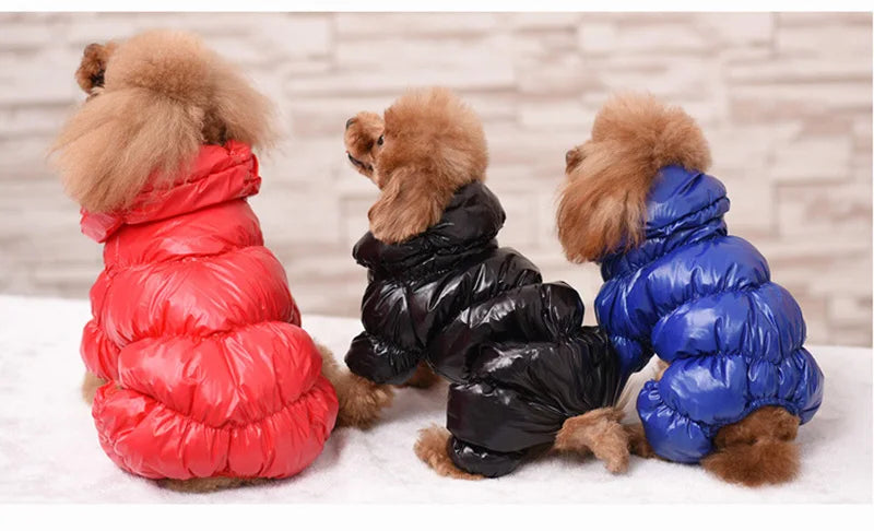 Winter Down Jumpsuit for Small Dogs | Padded All-in-One Dog Coat