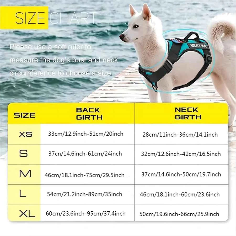 Escape-Proof No-Pull Dog Harness & Lead Set with Reflective Strips