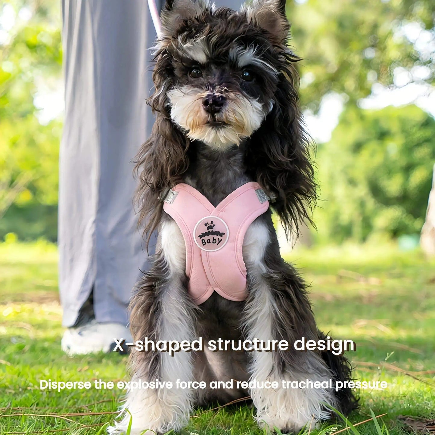 Harnais et laisse réfléchissants pour chien en forme de X | Gilet réglable à libération rapide pour petits et moyens chiens