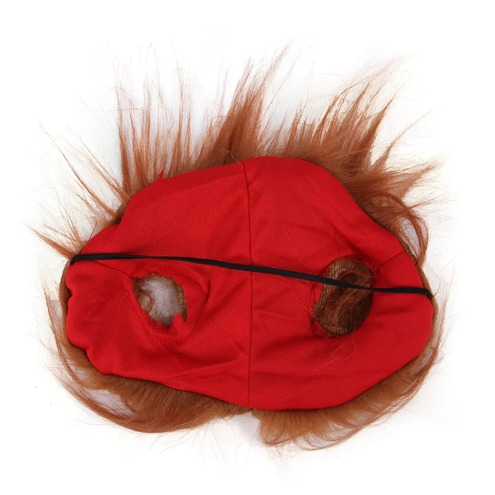 Funny Halloween Pet Costume