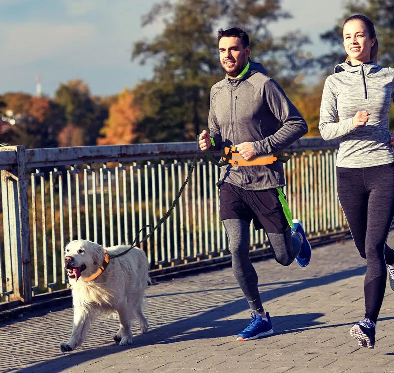 Laisse pour chien mains libres avec ceinture réfléchissante et pochette de rangement