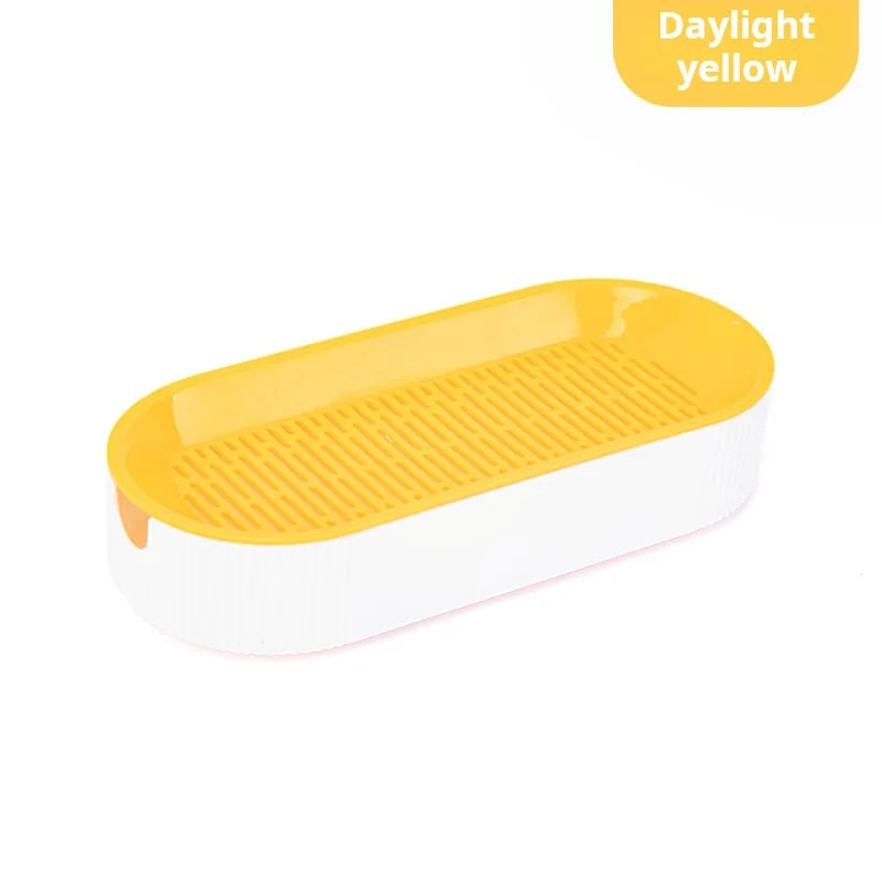 Kit de culture d'herbe à chat hydroponique – Ensemble de plantation sans terre pour friandises fraîches pour chats