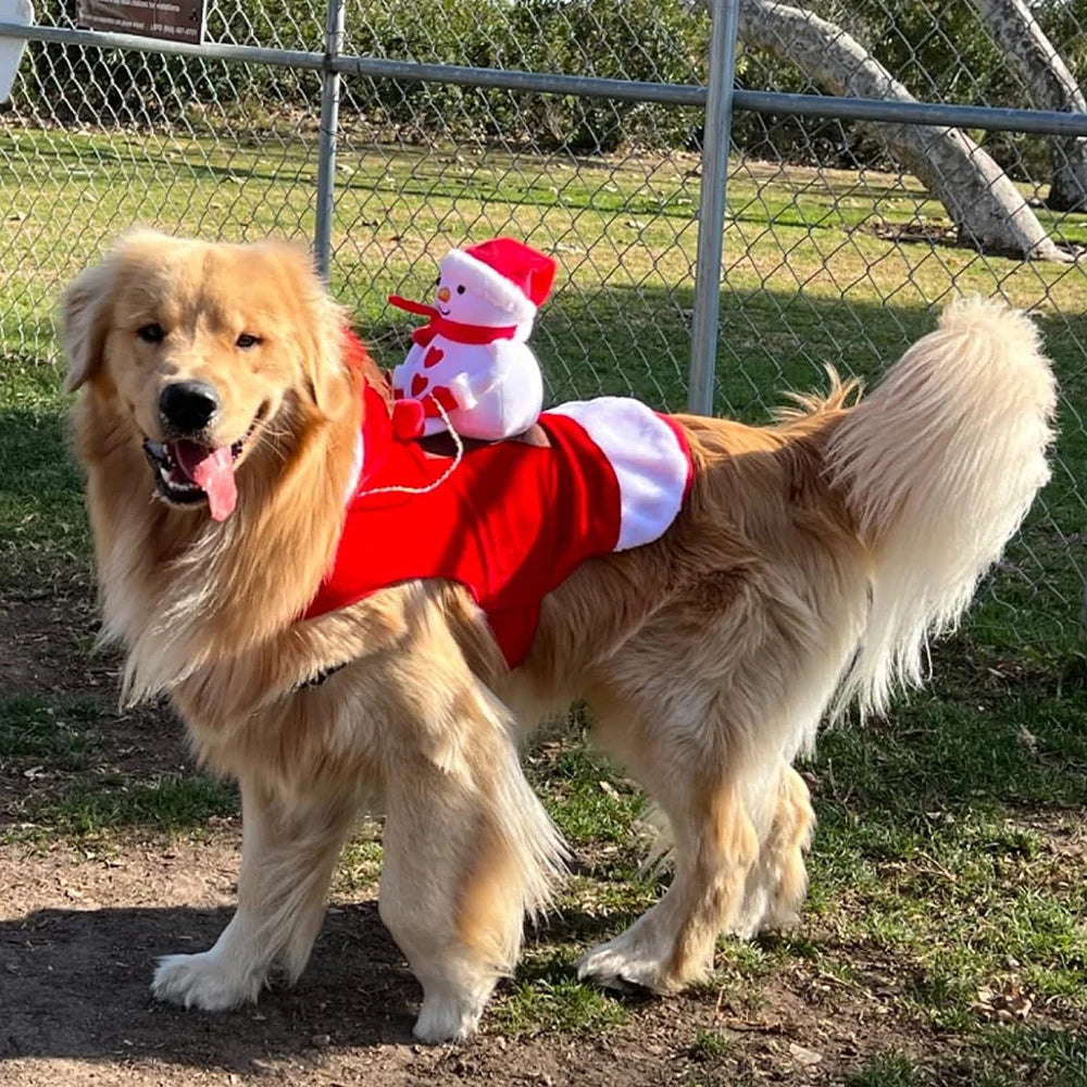 Christmas Santa Cloak Pet Costume