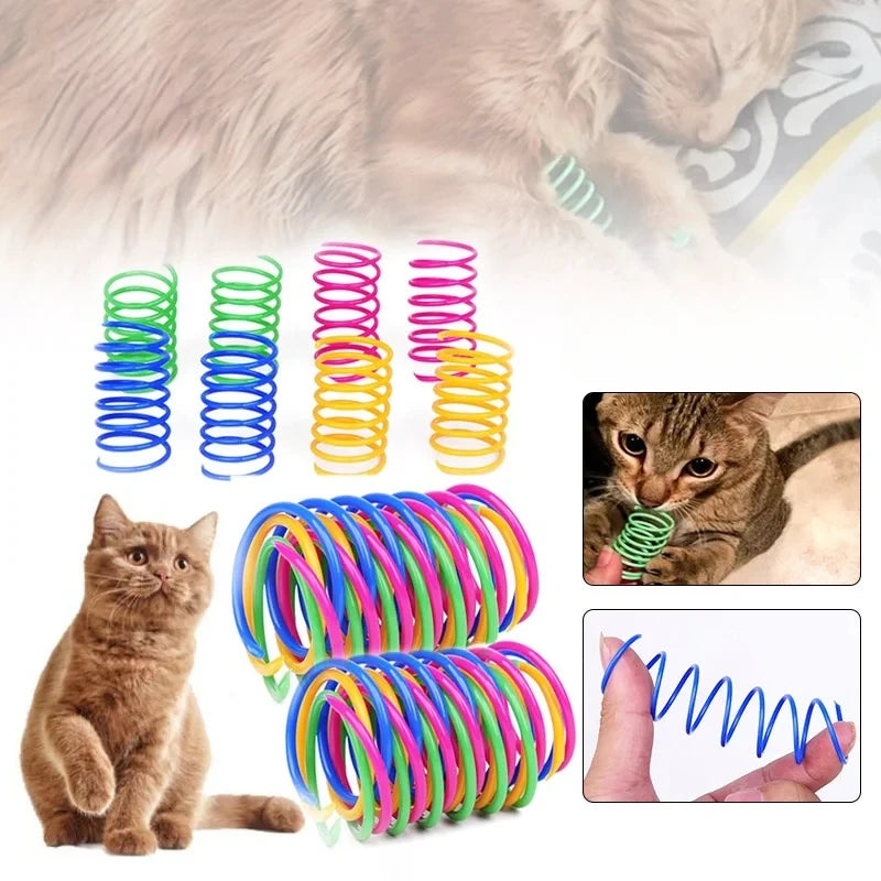Colorful Spring Coil Toys for Cats