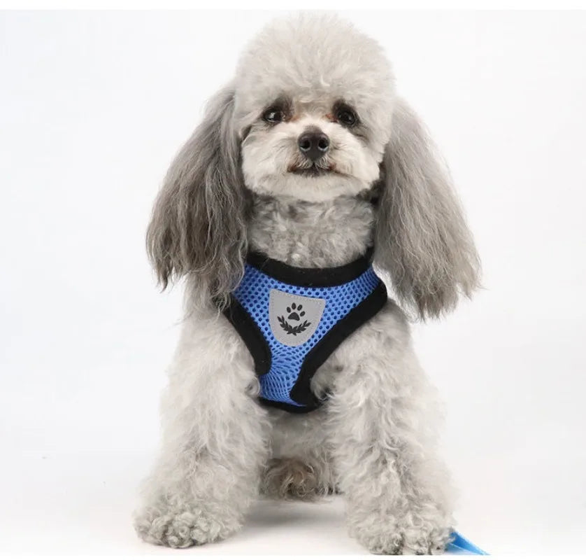 Harnais anti-évasion pour chat et chien avec laisse - Gilet en maille réglable pour la promenade