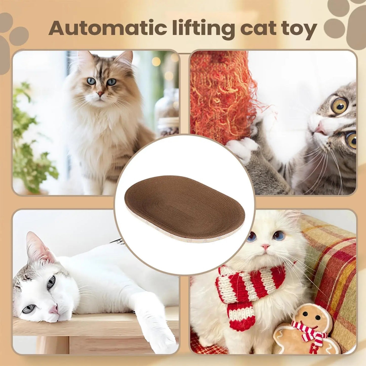 Oval Corrugated Cardboard Cat Scratcher & Lounge Bed