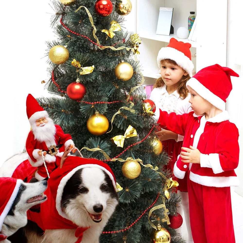 Christmas Santa Cloak Pet Costume