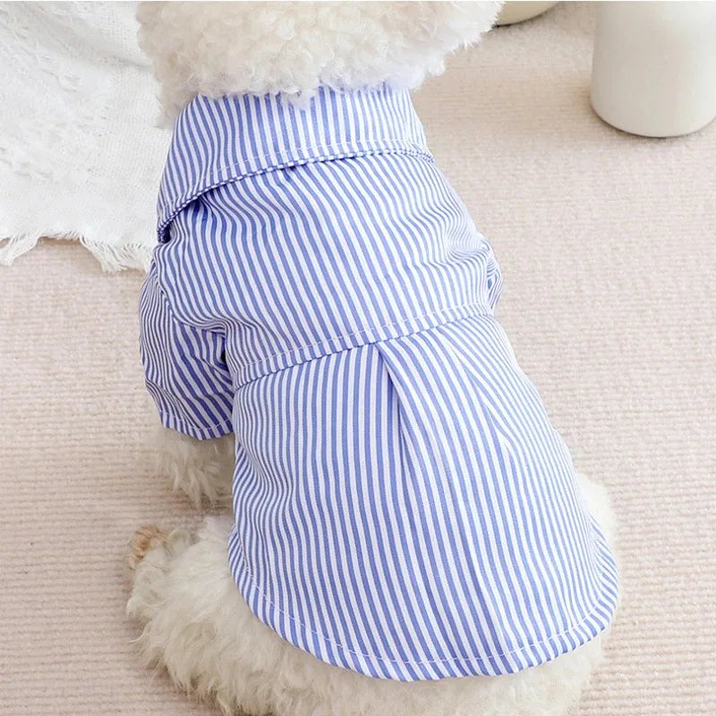 Vêtements d'été pour chiots - Chemise et chemisier pour chien, vêtements de printemps pour animaux de compagnie