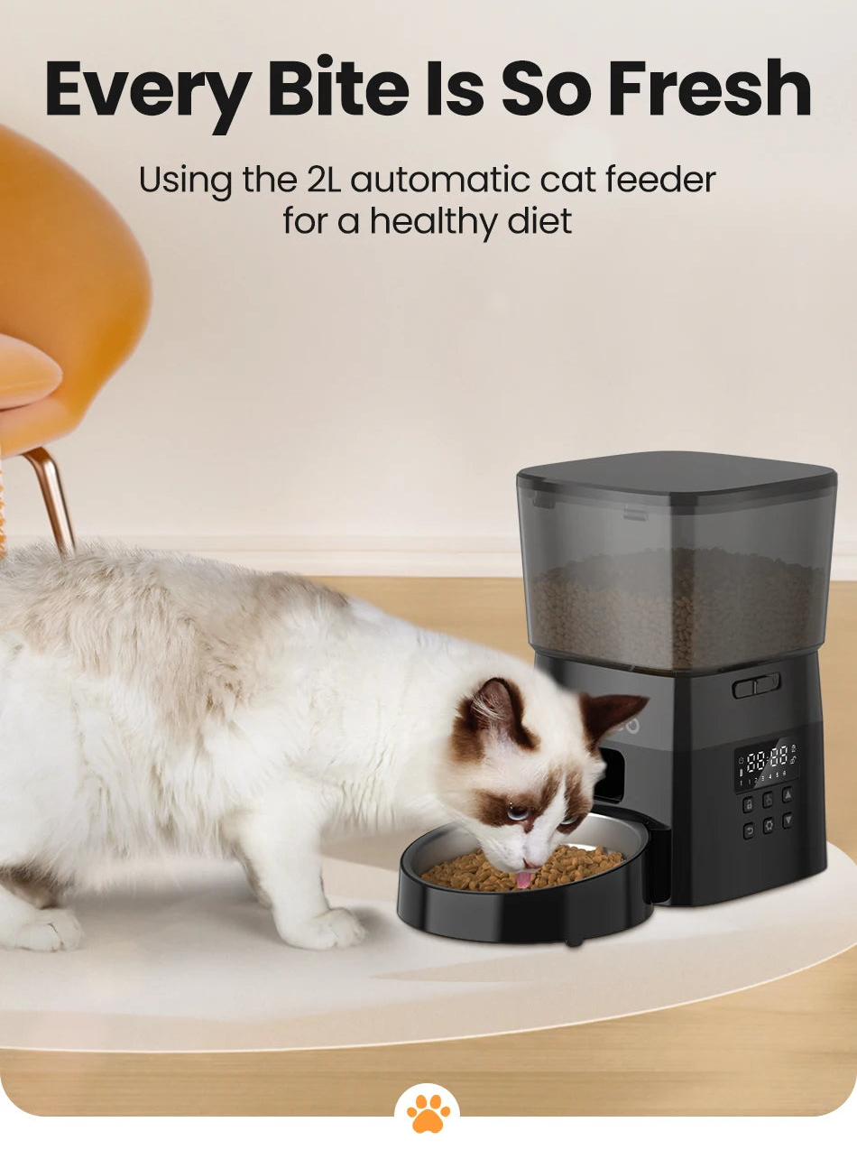 Smart Automatic Pet Feeder & Kibble Dispenser — Button Version