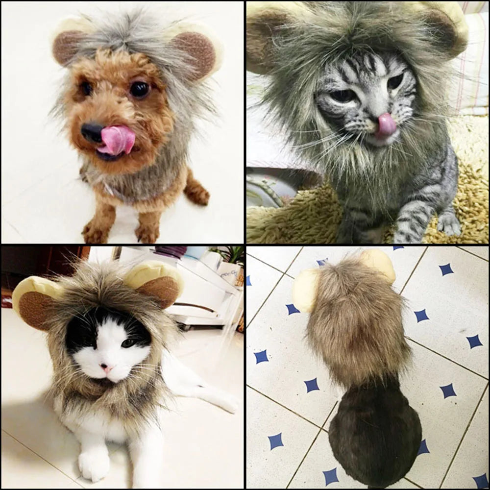 Lion Mane Wig for Cats & Small Dogs – Fancy Dress Costume