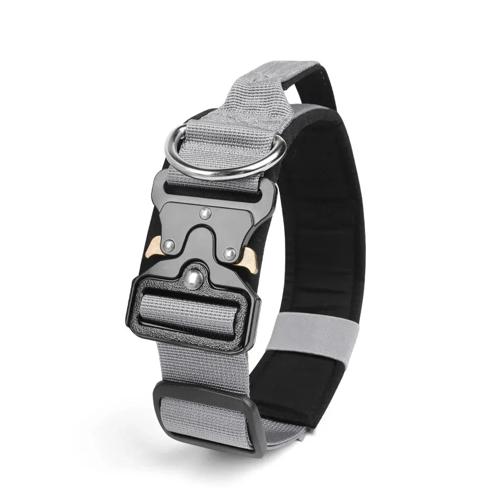 Ensemble complet collier et harnais pour chien avec laisse