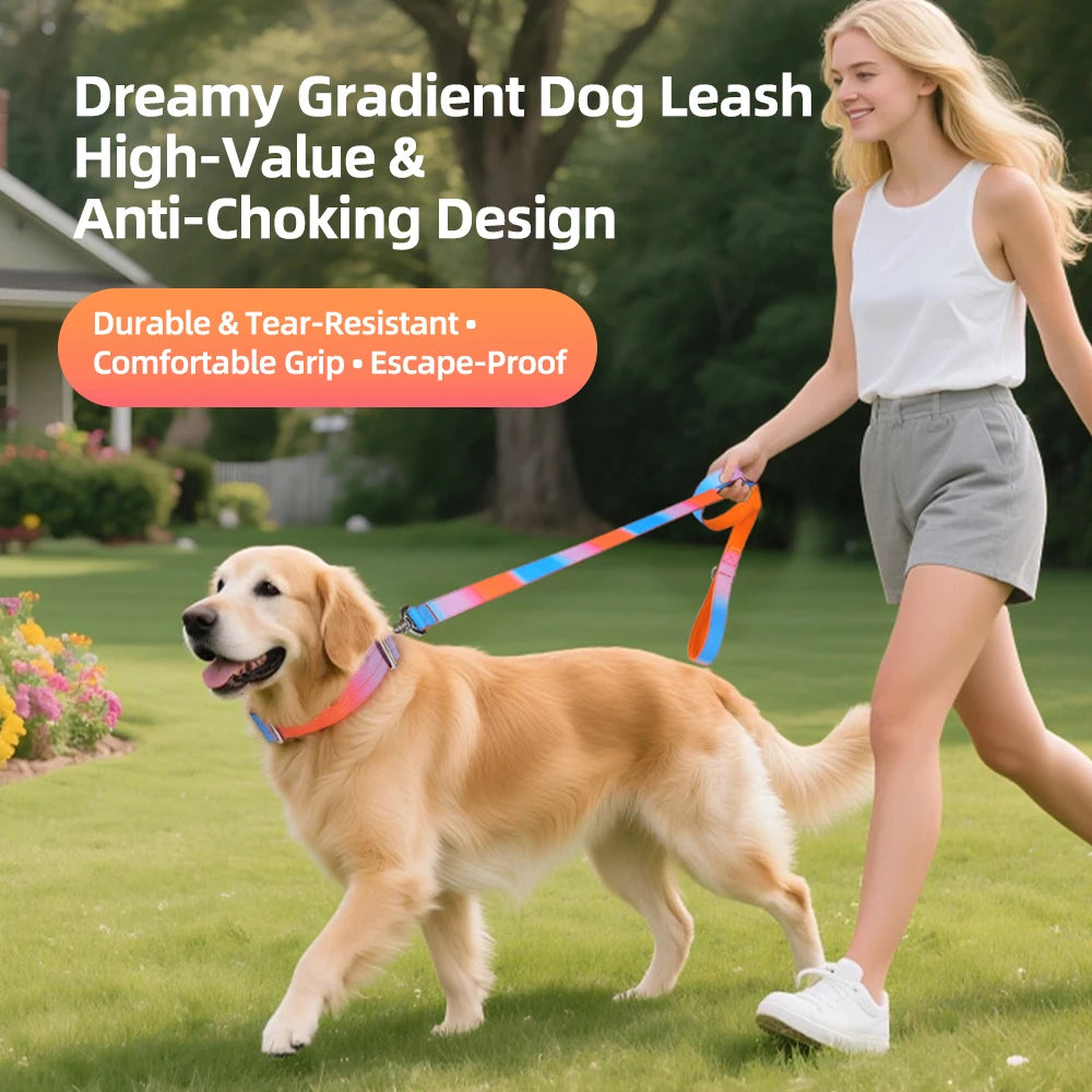 Wide Padded Dog Collar with Handle | Gradient Design for Large Dogs