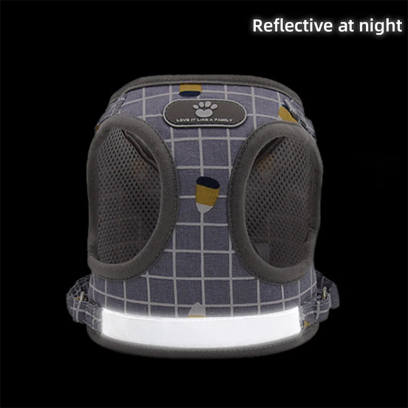 Adjustable Mesh & Plaid Cat Harness and Leash Set