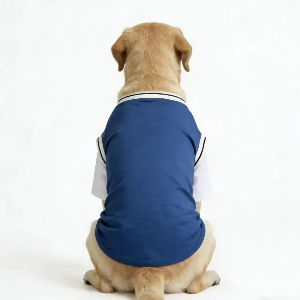 Gilet rafraîchissant en polyester respirant pour chiens | Haut d'été doux pour chiens de taille moyenne et grande