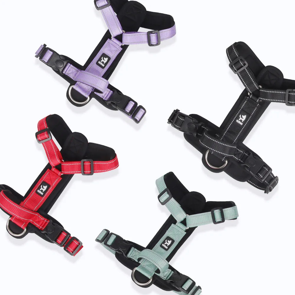 No-Pull Padded Vest Harness with Reflective Straps for Small & Medium Dogs