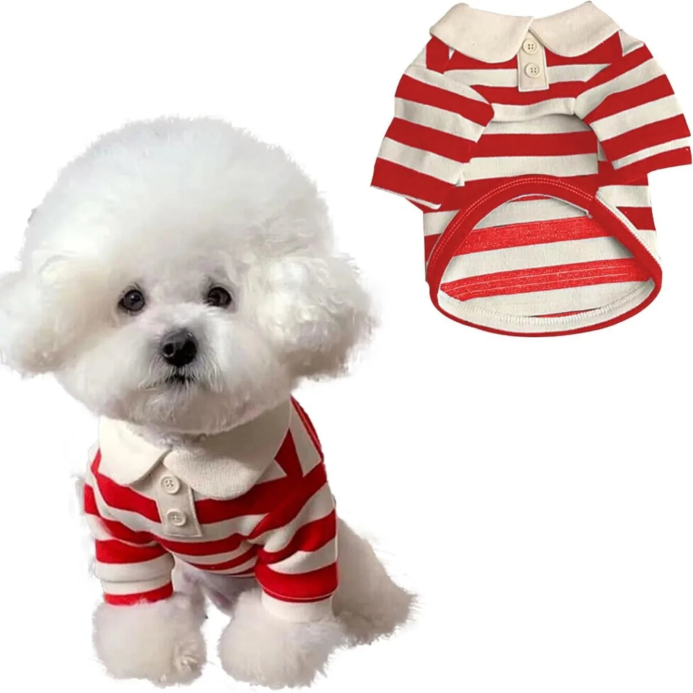 Chemise de luxe premium pour chien