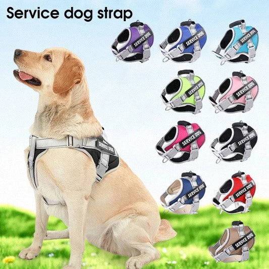 Puppy Harness with Leash - Small to Large Dog Training Set
