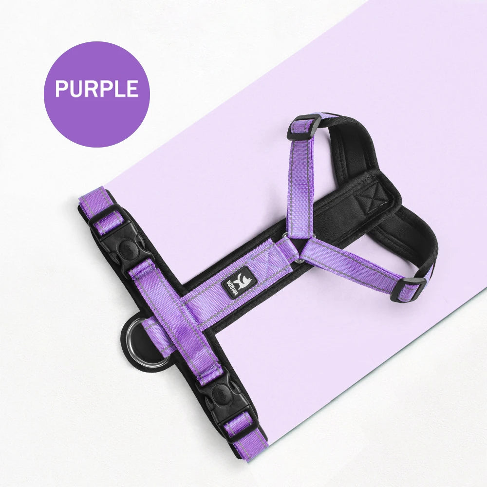 No-Pull Padded Vest Harness with Reflective Straps for Small & Medium Dogs