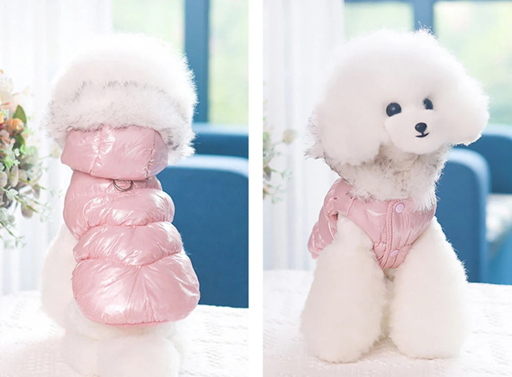 Winter Down & Fleece Dog Coat with Fur Collar for Small Dogs