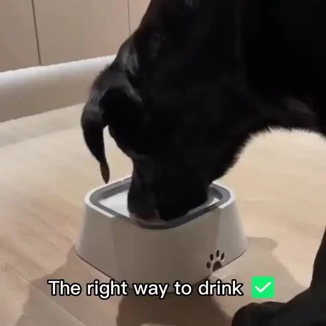 Gamelle d'eau anti-débordement pour chien à débit lent - Gamelle d'eau anti-éclaboussures pour animaux de compagnie de 1,5 L